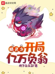 《精灵之开局亿万负翁》小说封面