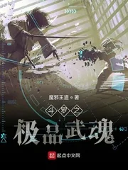 《斗罗之极品武魂》小说封面
