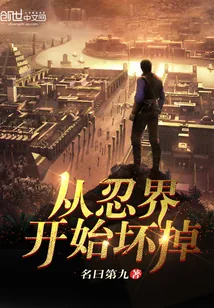 《从忍界开始坏掉》小说封面