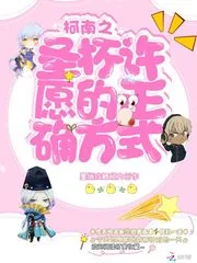 《柯南之圣杯许愿的正确方式》小说封面
