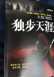 《独步天涯.》小说封面