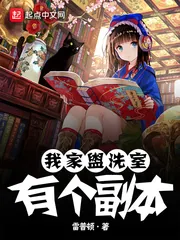 《我家盥洗室有个副本》小说封面