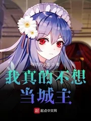 《我真的不想当城主》小说封面