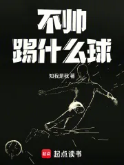 《不帅踢什么球》小说封面