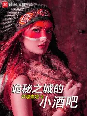 《诡秘之城的小酒吧》小说封面