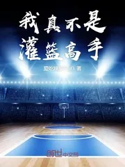 《我真不是灌篮高手》小说封面