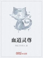 《血道灵尊》小说封面