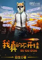 《我真的不开挂》小说封面