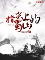 《指尖上的蜀山》小说封面