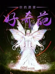 《你的愿望好奇葩》小说封面