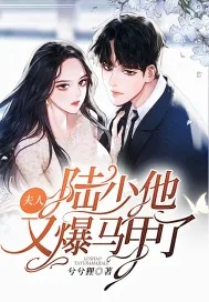 《夫人，陆少他又爆马甲了》小说封面
