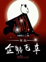 《极品企鹅飞车》小说封面