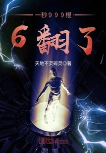 《一秒999棍6翻了》小说封面