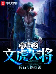 《海贼之文虎大将》小说封面