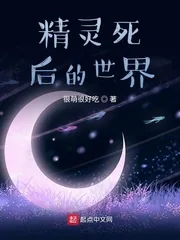 《精灵死后的世界》小说封面