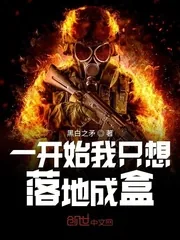 《一开始我只想落地成盒》小说封面