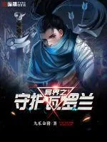 《异界之守护瓦罗兰》小说封面