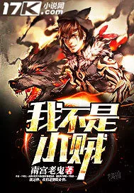 《我不是小贼》小说封面