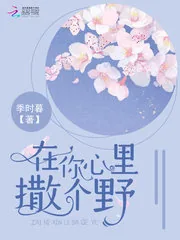 《在你心里撒个野》小说封面