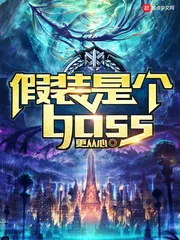 《假装是个boss》小说封面