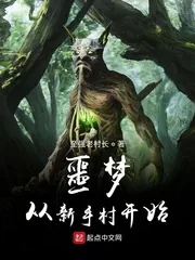 《噩梦从新手村开始》小说封面