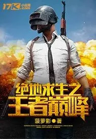 《绝地求生之王者巅峰》小说封面