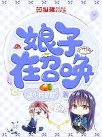 《娘子在召唤》小说封面