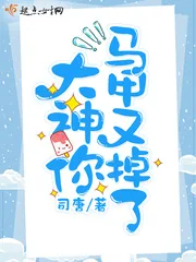 《大神你马甲又掉了》小说封面