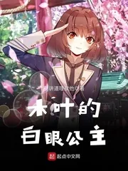 《木叶的白眼公主》小说封面