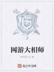 《网游大相师》小说封面