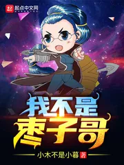 《我不是枣子哥》小说封面