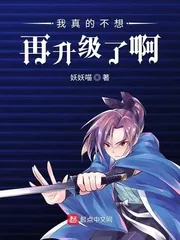 《我真的不想再升级了啊》小说封面