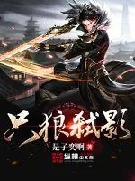 《只狼弑影》小说封面
