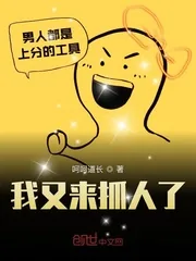 《我又来抓人了》小说封面