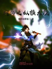 《网游之纵横大陆》小说封面