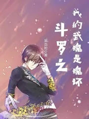 《斗罗之我的武魂是魂环》小说封面