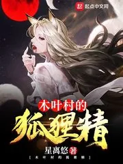 《木叶村的狐狸精》小说封面