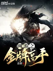《网游之金牌高手》小说封面