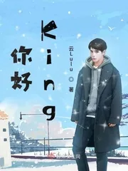 《你好King》小说封面