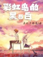 《彩虹岛的黑与白》小说封面