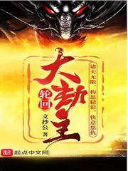 《轮回大劫主》小说封面
