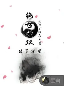 《绝世无双之后传》小说封面