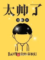 《太帅了怎么办》小说封面