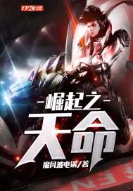 《崛起之天命》小说封面
