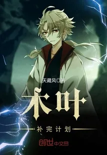 《木叶补完计划》小说封面
