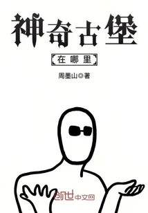 《神奇古堡在哪里》小说封面