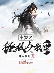 《斗罗之拯救女教皇》小说封面