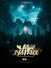 《精灵对战特区》小说封面