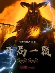 《开局一颗学识宝石》小说封面