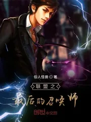 《联盟之最后的召唤师》小说封面